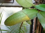 DSC02615.JPG