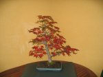 IMG_0405.JPG