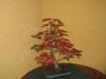 IMG_0406.JPG