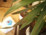PC020131.JPG