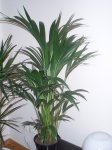 PC020133.JPG