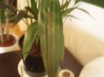 PC020139.JPG