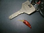 peperoncino.jpg