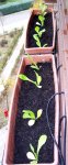 100_1641.JPG
