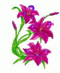 fucsias.gif