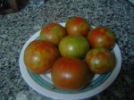 resized_DSC02550.jpg