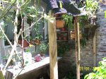 Imagen 004.jpg