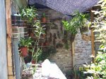 Imagen 005.jpg