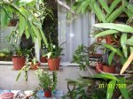 Imagen 009.jpg