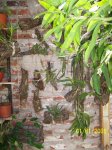 Imagen 010.jpg