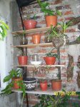 Imagen 011.jpg