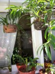 Imagen 012.jpg