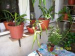Imagen 013.jpg
