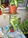 Imagen 014.jpg