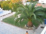 IMG_2431.jpg