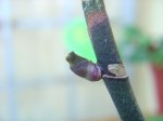 Dsc00003.jpg