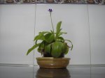 pc040003.jpg