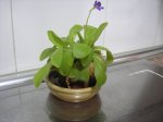 pc040004.jpg