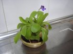 pc040005.jpg