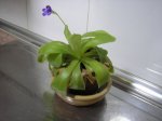 pc040006.jpg