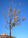 pc060004.jpg