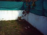 IMAG0248.JPG