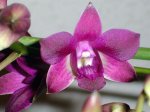 DSC01739.JPG