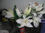 flores lilliums jarron.JPG