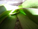 DSC01745.JPG