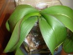 DSC01746.JPG