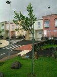DSCN0633.jpg