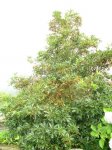 DSCN0627.jpg