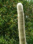 DSCN0630.jpg