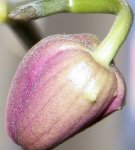 000_0141.jpg