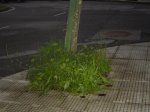 Imagen 181.jpg