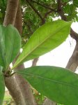 DSCN0596.jpg