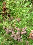 DSCN0664.jpg