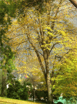LISBOA-9-dic06-(15).gif