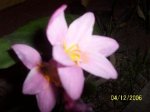 100_9273.JPG