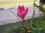 100_9280.JPG