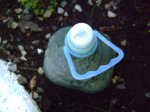 botella agua salus.JPG