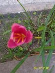 100_9281.JPG