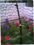 FLORES 016.jpg
