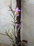 Imagen058.jpg