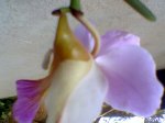 Imagen059.jpg