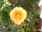 PIC_0038.JPG