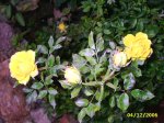 PIC_0160.JPG