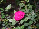 PIC_0148.JPG