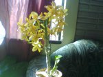 Imagen018.jpg