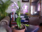 Imagen019.jpg
